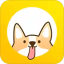 豚豚剧